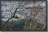 DSC00608