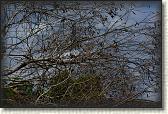 DSC00609