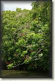 DSC00630