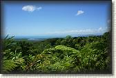 DSC00642
