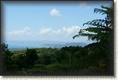 DSC00667