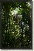 DSC00672