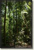 DSC00679