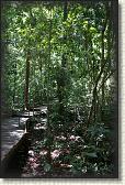DSC00691