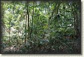 DSC00701
