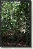 DSC00707