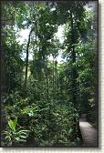 DSC00710