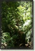 DSC00726