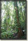 DSC00736