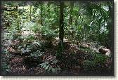 DSC00751
