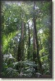 DSC00752