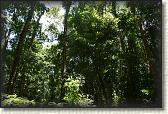 DSC00767