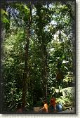 DSC00770