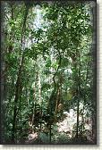 DSC00799