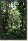 DSC00800
