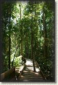 DSC00825