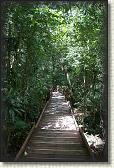 DSC00832
