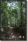 DSC00850