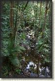 DSC00900