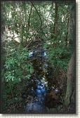 DSC00901