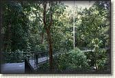 DSC00904