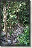 DSC00908