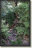 DSC00909