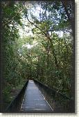 DSC00910
