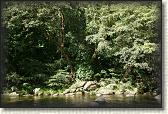 DSC00916