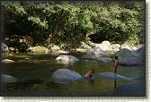 DSC00918