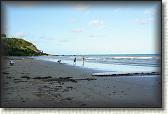 DSC00926