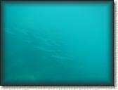 DSCN1131