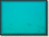 DSCN1133