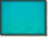 DSCN1172