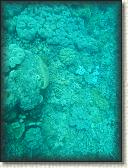DSCN1294
