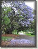 IMG_0363