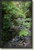 DSC01855