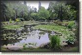 IMG_0765