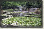 IMG_0766