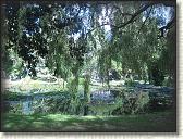 IMG_0779
