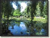 IMG_0780