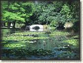 IMG_0781
