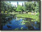 IMG_0783