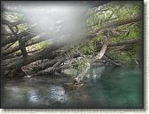 DSCN1530