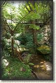 DSC01005