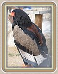 IMG_2105