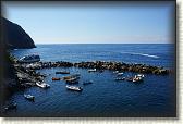 DSC05710