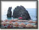 IMG_1556