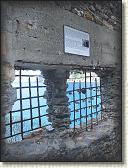 IMG_1566