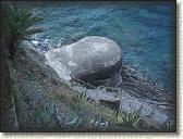 IMG_1576